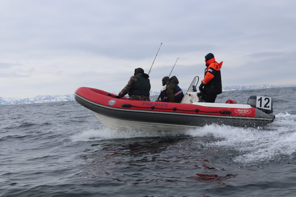 CAT Fortis 490 CAT Fortis 490