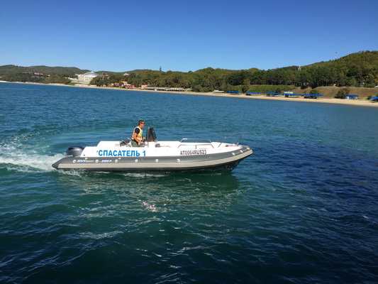 Скайбот SB 595