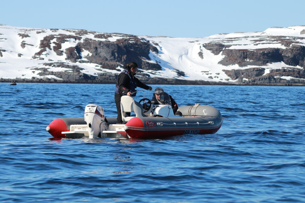 CAT Fortis 490 CAT Fortis 490