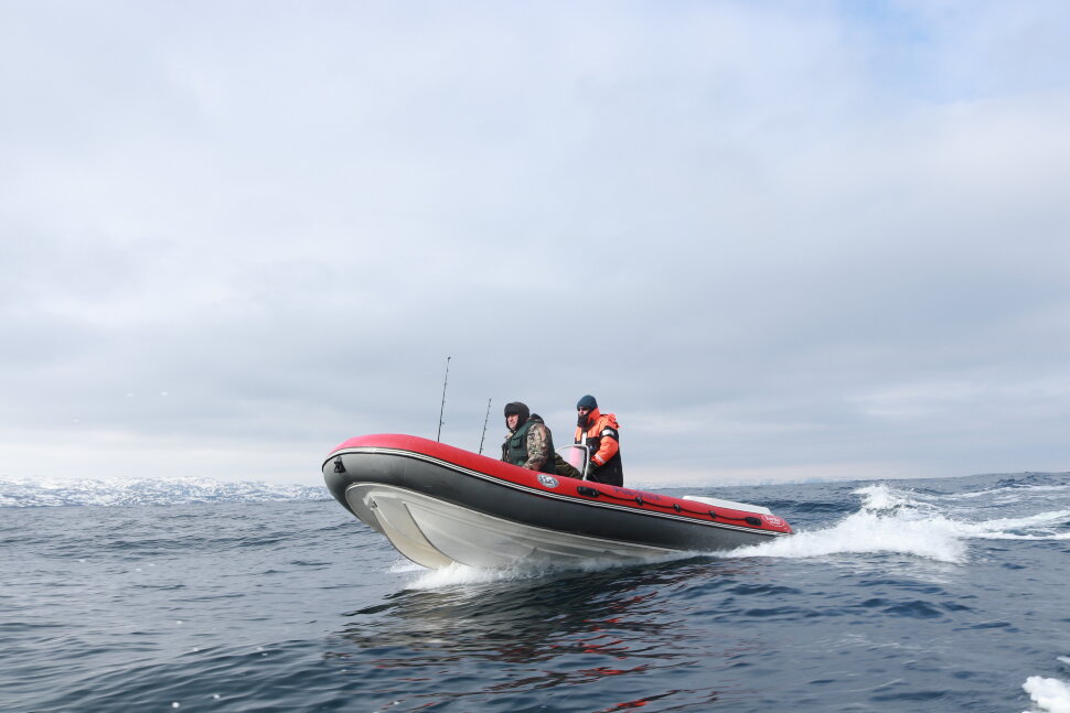 CAT Fortis 490 CAT Fortis 490