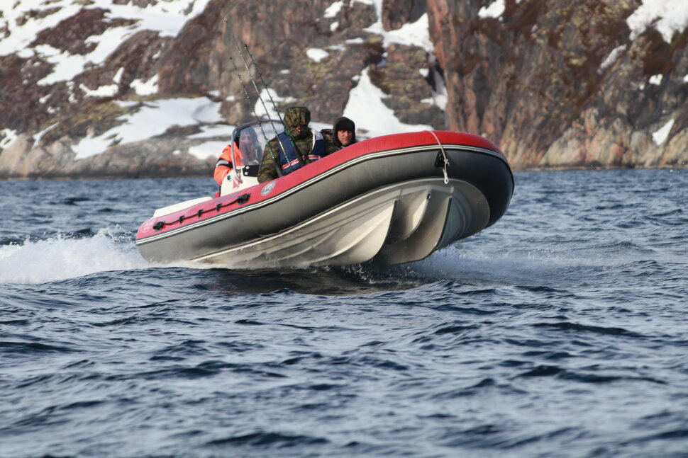 CAT Fortis 490 CAT Fortis 490